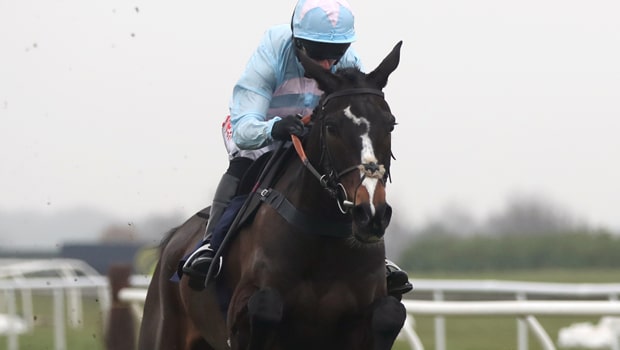 Black-Op-Horse-Racing-road-to-Cheltenham-min