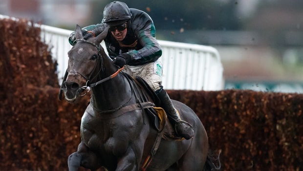 Altior-Horse-Racing-Tingle-Creek-Chase-min