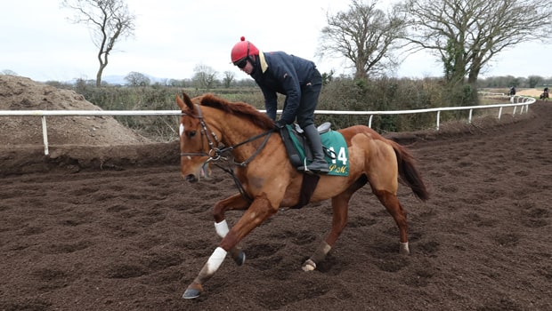 Melon-Horse-Racing-BHP-Insurance-Irish-Champion-Hurdle-min