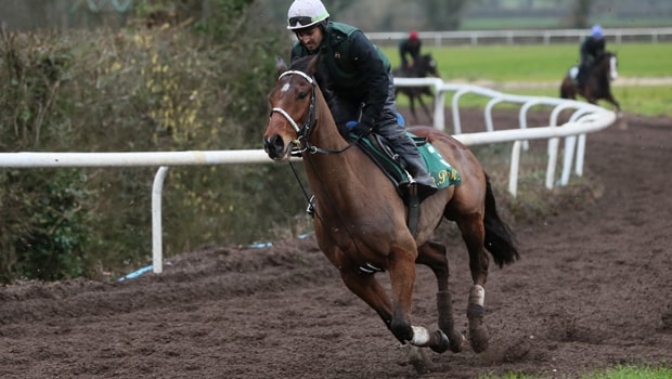 Footpad-Horse-Racing-Ryanair-Chase-min