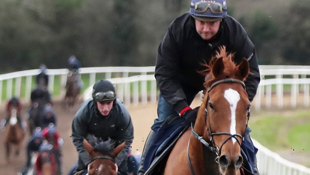 Samcro-Horse-Racing-Cheltenham-Festival