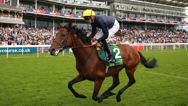 James-Doyle-and-Crystal-Ocean-Horse-Racing