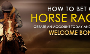 horse-how to