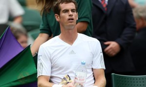 Andy Murray 2014 Wimbledon Championships