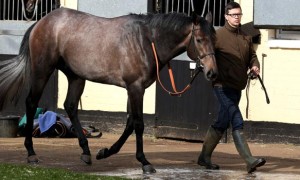 Kingston Hill and Trainer Roger Varien