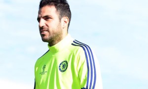 Chelsea Cesc Fabregas