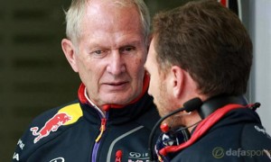 Red Bull advisor Helmut Marko