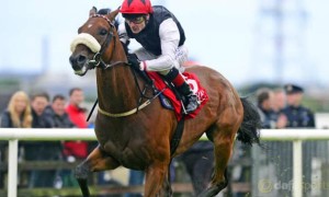 Dermot Weld hoping Forgotten Rules