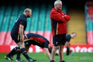 Wales head coach Warren Rugby World Cup 2015