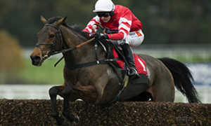 Cooper Coneygree in Gold Cup