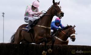 Vautour in Gold Cup
