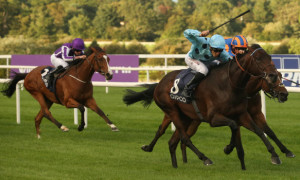 Qipco-Champion-Stakes-Jean-Claude-Rouget