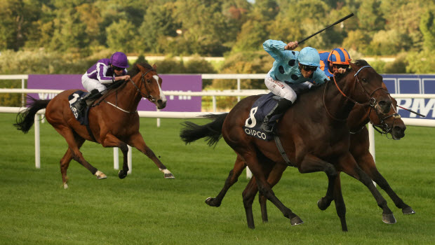 Qipco-Champion-Stakes-Jean-Claude-Rouget