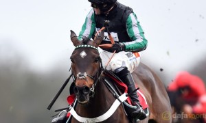 Altior-Cheltenham-Open-meeting-Horse-Racing