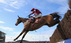 Don-Poli-Aintree-Grand-National