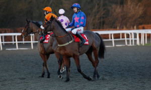 Horse racing Tizzard mulling Ryanair option for Cue Card