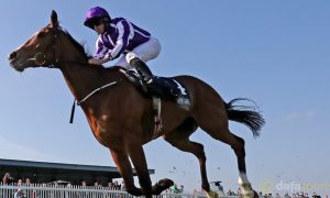 Minding-Tattersalls-Gold-Cup-Horse-Racing