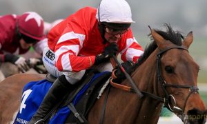Coneygree-Horse-Racing-Kerry-National