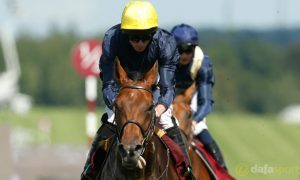 Crystal-Ocean-Horse-Racing-St-Leger-Stakes