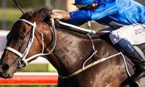 Superstar-Winx-Horse-Racing