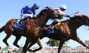 Barney-Roy-Horse-Racing-Qipco-Champion-Stakes