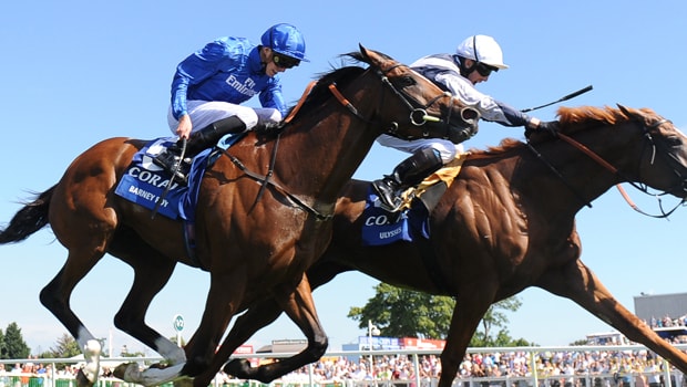 Barney-Roy-Horse-Racing-Qipco-Champion-Stakes