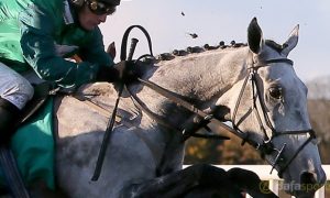 Coneygree-Horse-Racing