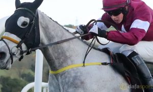 Disco-and-Noel-Meade-Horse-Racing