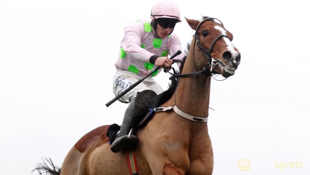 Faugheen-Horse-Racing-min