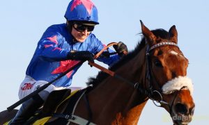 Paddy-Brennan-and-Cue-Card-Horse-Racing