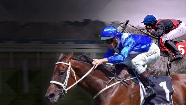 Chris Waller Winx Royal Ascot Horse Racing-min