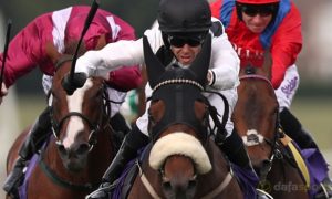 Judicial-Curragh-Horse-Racing-min