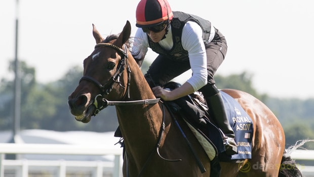 Lady-Aurelia-and-Wesley-Ward-Horse-Racing-min