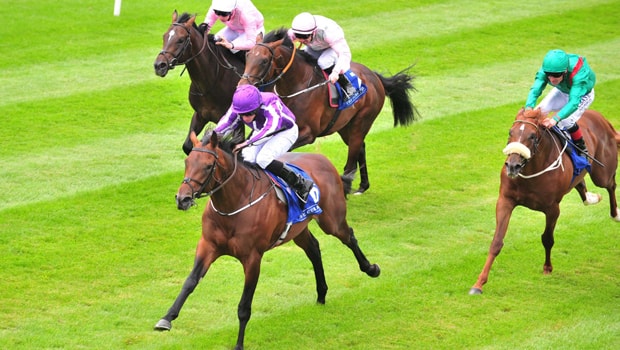 Connections-Horse-Racing-Mendelssohn-min