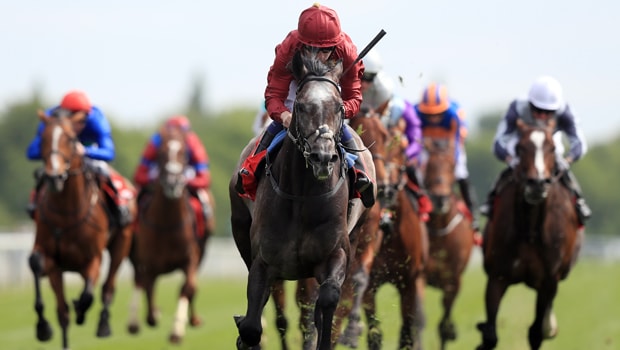 Roaring-Lion-Horse-Racing-Juddmonte-International-min