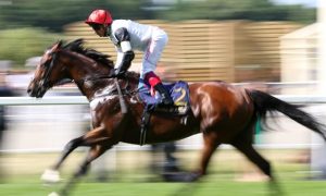 Cracksman-Horse-Racing-Qipco-Champion-Stakes-min