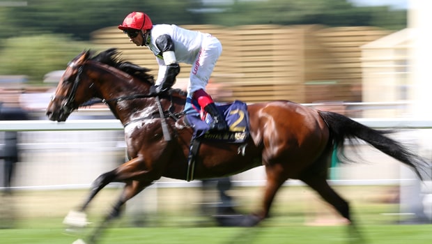 Cracksman-Horse-Racing-Qipco-Champion-Stakes-min