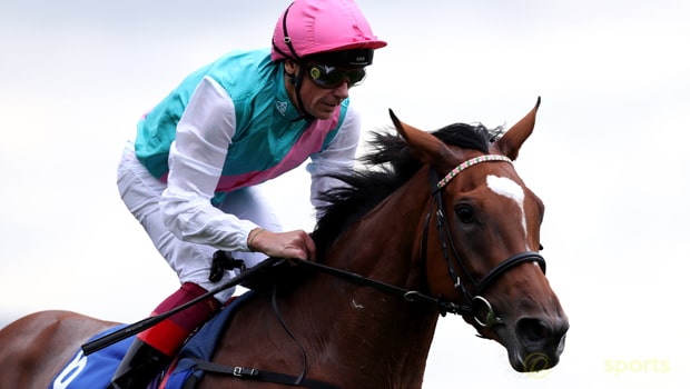 Enable-Horse-Racing-min