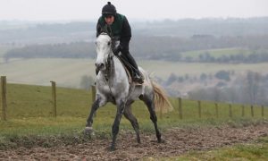 Bristol-De-Mai-Horse-Racing-min