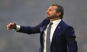 Slavisa Jokanovic Fulham