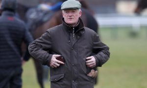 Trainer Willie Mullins Horse Racing