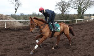 Melon-Horse-Racing-BHP-Insurance-Irish-Champion-Hurdle-min