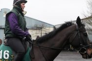 Penhill-Horse-Racing-min
