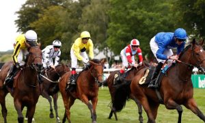 James-Doyle-Horse-Racing