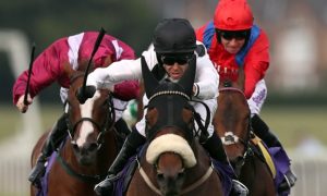 Judicial-Horse-Racing