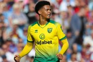 Jamal-Lewis-Norwich-City-defender